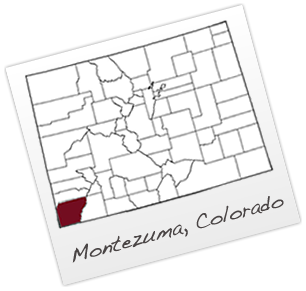 Montezuma County Colorado Map