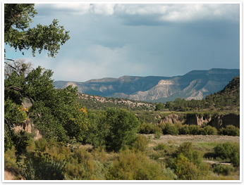 Colorado Vineyard Landscape